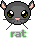 Rat Rat