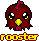 Rooster Rooster