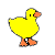 Duckie Duckie