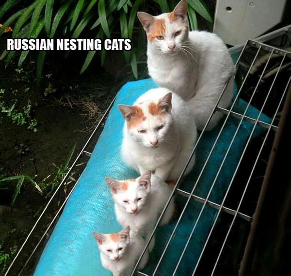 russian20nesting20cats.jpg
