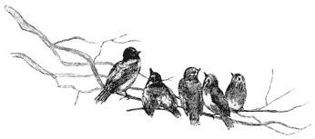 Black and White Page Graphics