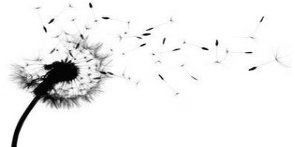 Black and White Page Graphics