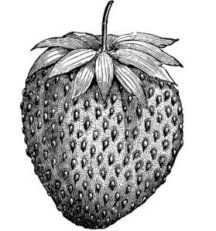 Black and White Page Graphics