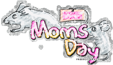 Mother's Day Comments From freeglitters.com