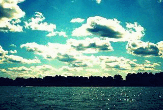 Photography Graphics