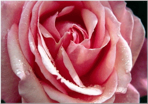 Photography Graphics