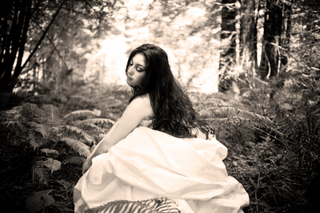 Photography Graphics