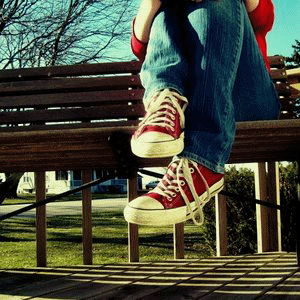 Photography Graphics