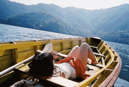 Photography Graphics