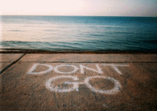 Photography Graphics