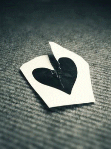 Photography Graphics