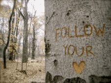 Photography Graphics