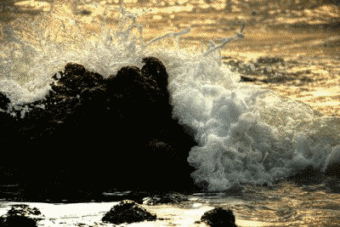 Photography Graphics