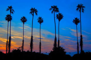 Photography Graphics