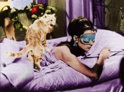 Photography Graphics