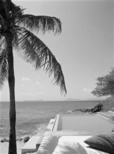 Photography Graphics