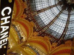 Photography Graphics