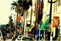 Photography Graphics