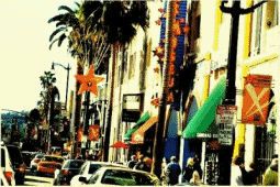 Photography Graphics