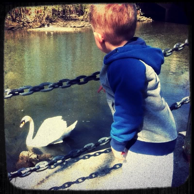Uploaded from the Photobucket iPhone App