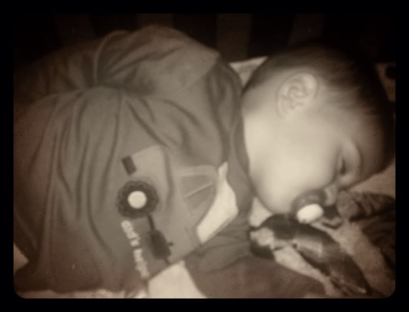 Uploaded from the Photobucket iPhone App
