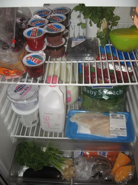 fridge004.jpg