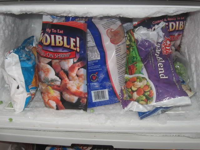 fridge006.jpg