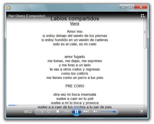 ... de las canciones que suenan en Windows Media Player con Lyrics Plugin