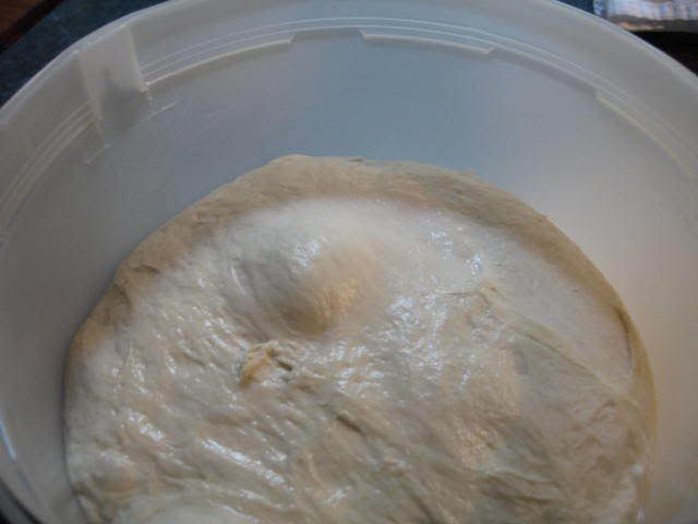 pizza dough w/ wild yeast out of fridge