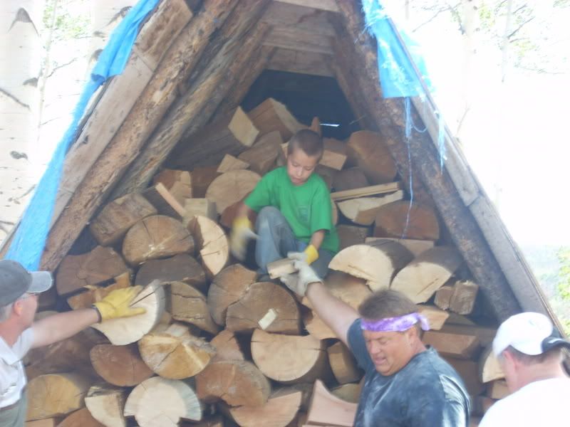 ben on wood pile