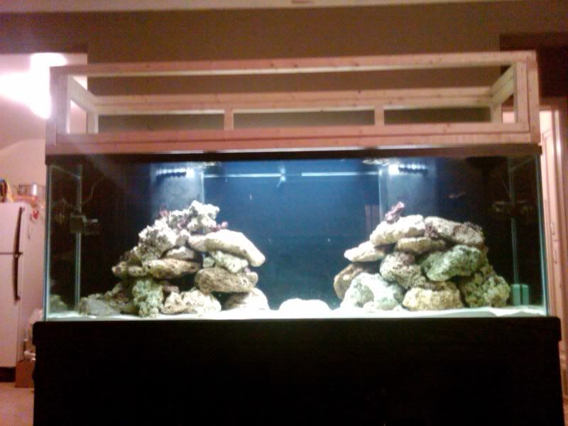 IMG00076 20091122 0006 - my first reef 150g and basement room