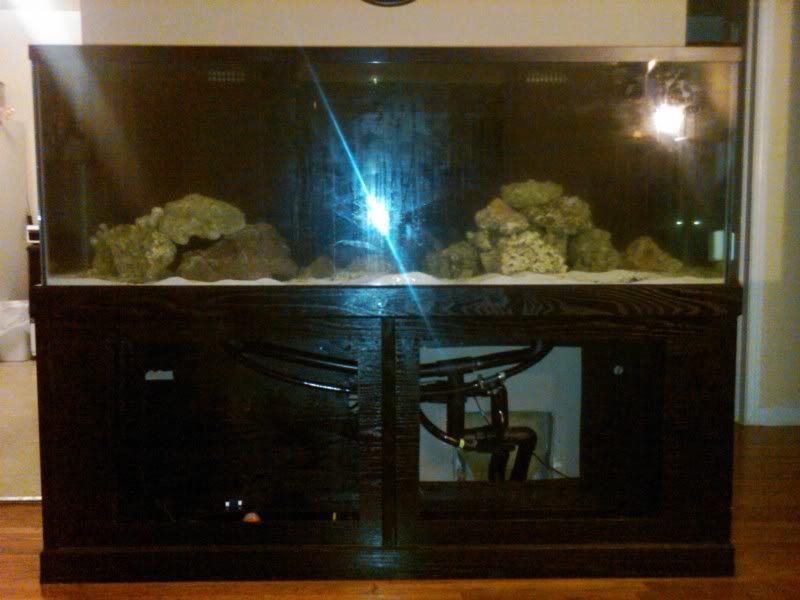 fisttry - my first reef 150g and basement room