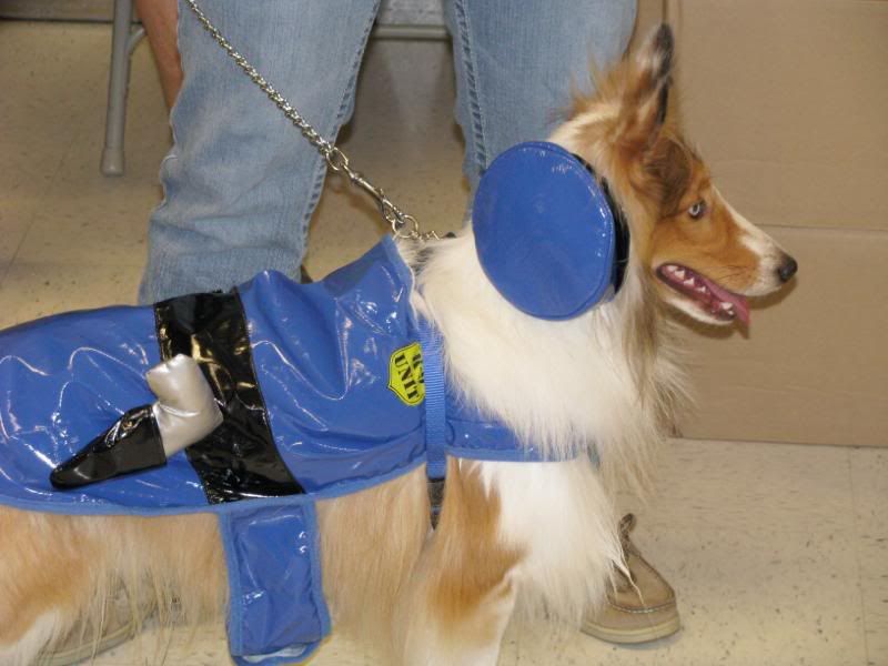 Sparky the Sheltie Policeman