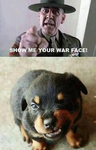 ShowMeYourWarFace_zps378f6eb3.jpg