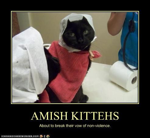 funny-pictures-cat-is-amish_zps405914e7.jpeg