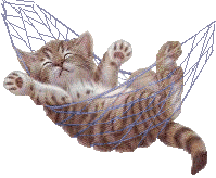 Cathammock0030.gif