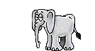 elephant006.gif