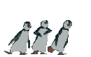 Penquins.gif