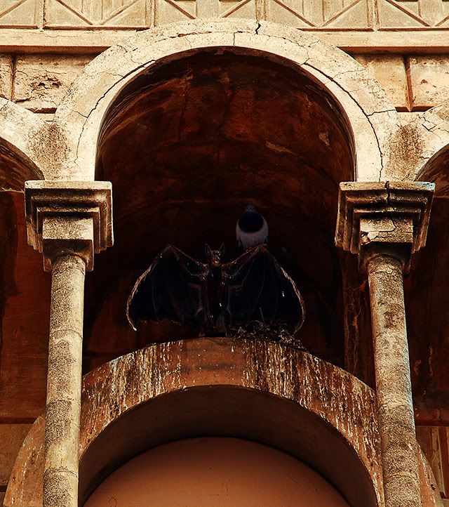 The Bat in Colonia Guell At The Secretary's House [enlarge]