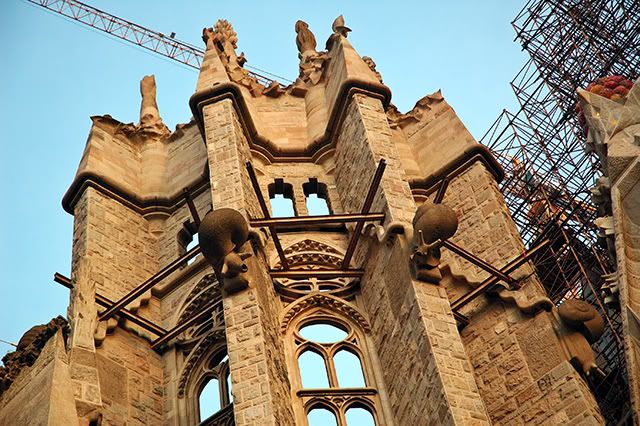 Gaudi Animals: Snails in Sagrada Familia