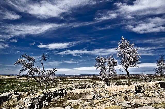 Infrared Iberian Ruins in the Spring [enlarge]