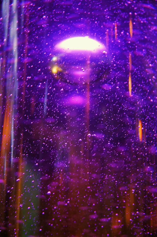 Purple Fantasy: Bubbles at CosmoCaixa, Barcelona [enlarge]