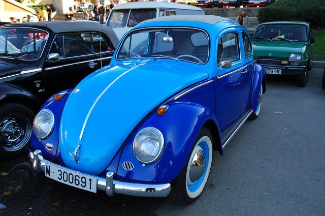 Classic Cars: Beetle VW in Blue [enlarge]
