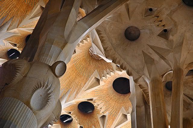 The Ceiling at Sagrada Familia Cathedral in Barcelona [enlarge]