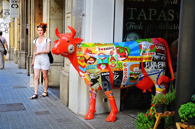 Click here to enlarge Spicy Orange Cow at Tapas Bar, Barcelona