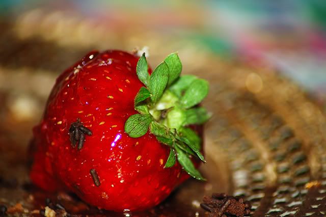 A detail of a strawberry on a cardboard platter [enlarge]