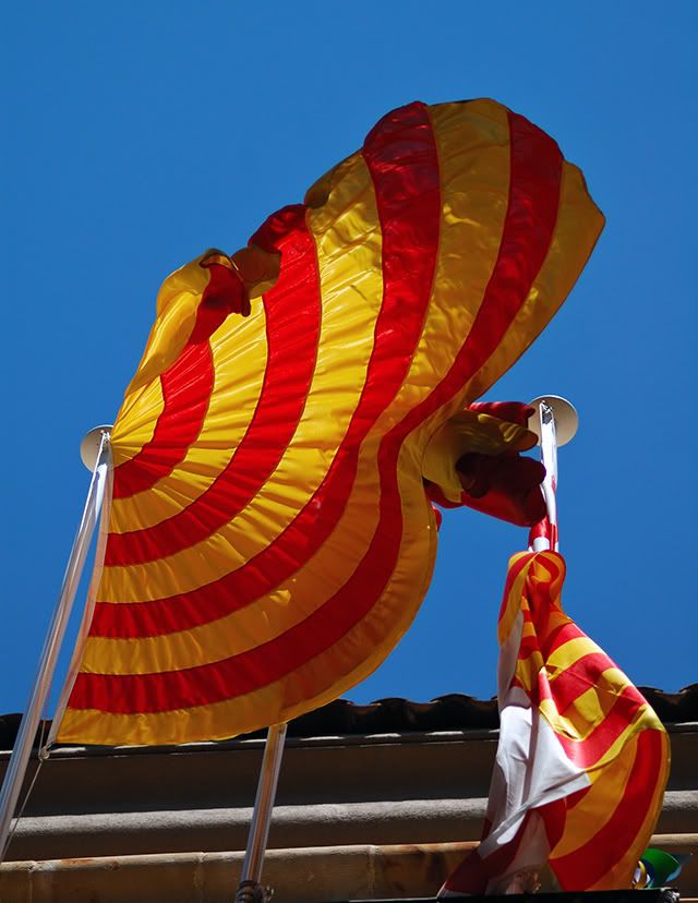 Catalonia's Flag Waving in the Wind[enlarge]