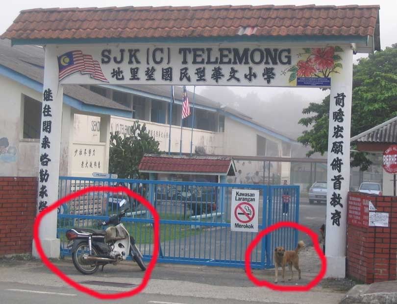 Picture:Click to zoom Picture:Click to zoom