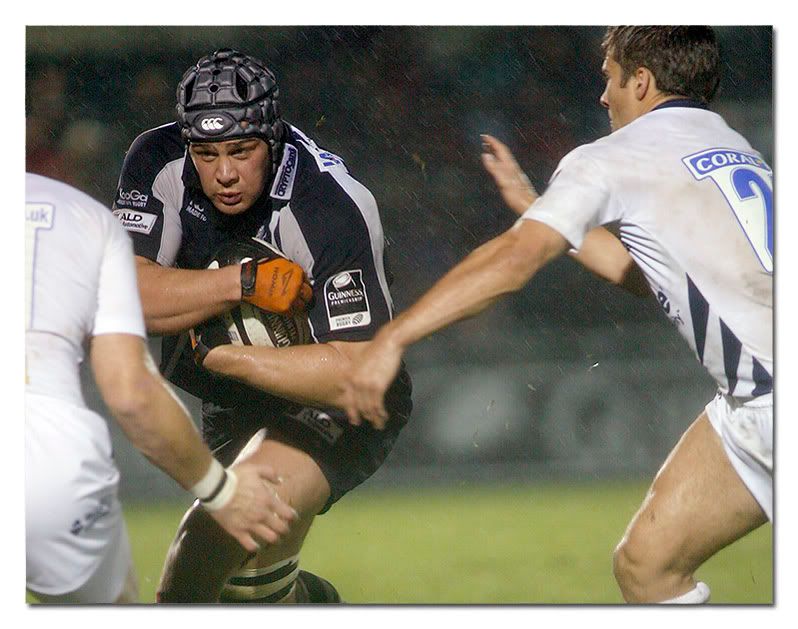IMAGE: http://i63.photobucket.com/albums/h143/bristolpete2005/Bristol%20Rugby%20vs%20Sale%20Sharks/BristolRugbyvsSaleSharks_PT10112-2.jpg