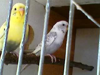 Photo-0014.jpg